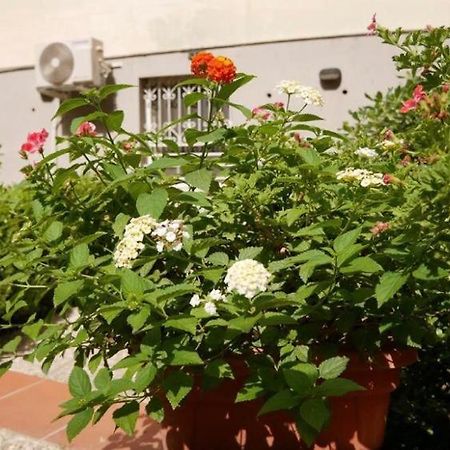 House With Garden And Parking Space In Mergellina Neapol Exteriér fotografie