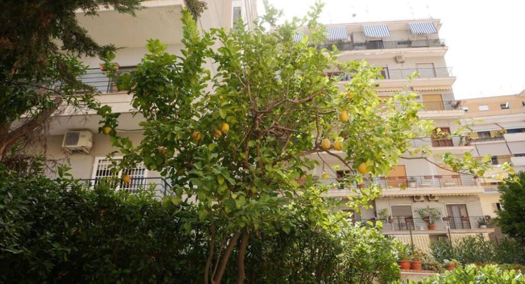 House With Garden And Parking Space In Mergellina Neapol Exteriér fotografie